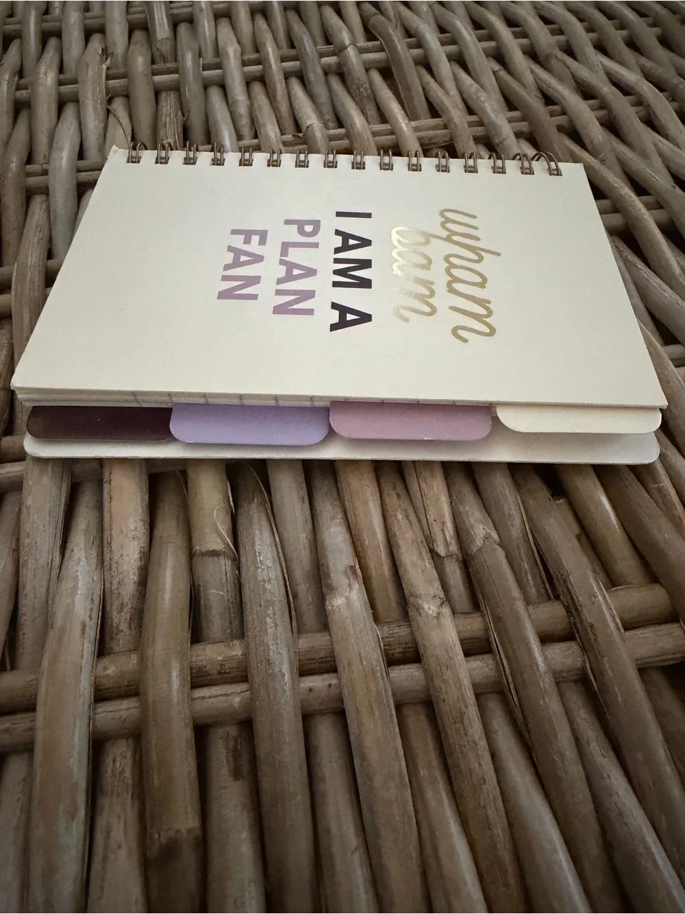 Flying Tiger Copenhagen- 'Wham Bam I Am A Plan Fan' small notebook w dividers